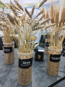 Выставка «KazAgro/ KazFarm-2024»