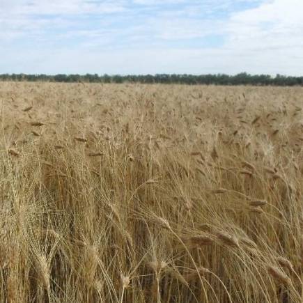 Костанайская 207