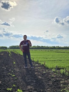 ЛАБОРАТОРИЯ СЕЛЕКЦИИ ЗЕРНОБОБОВЫХ КУЛЬТУР